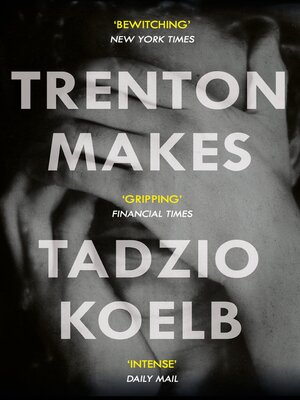 cover image of Trenton Makes